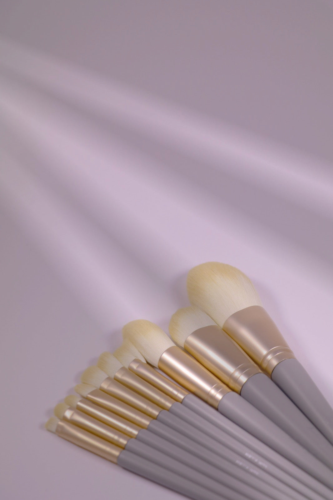 Ayuki’s Secret Professional Makeup Brush Set * BABY BLUE * WITH Brush Roll