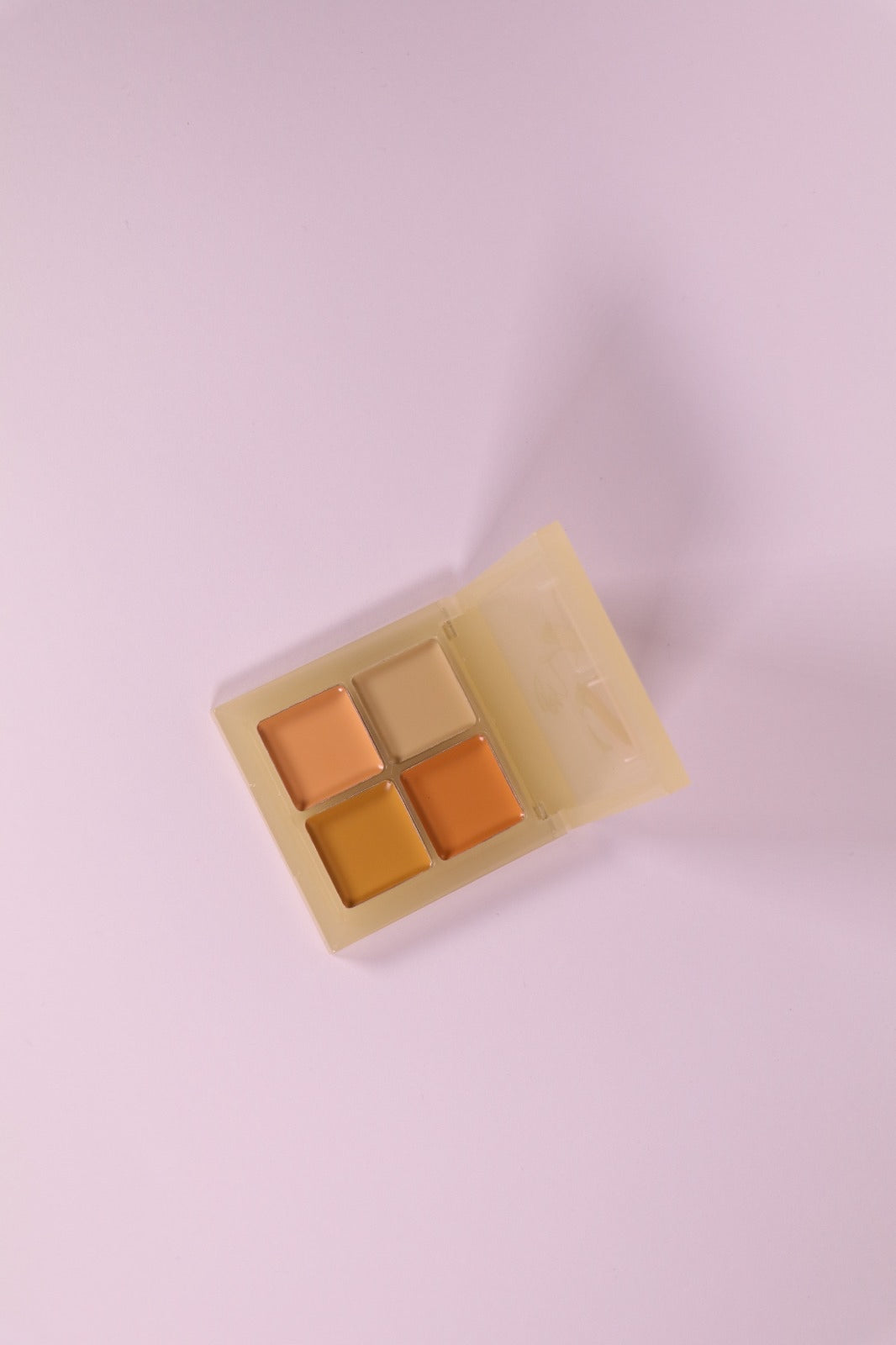 Arts Style Conceal & Correct Palette with brush