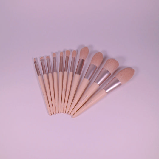 Ayuki’s Secret Professional Makeup Brush Set * PINK LADY * WITH Brush Roll