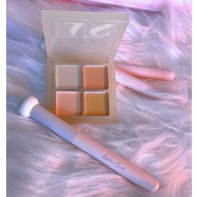 Arts Style Conceal & Correct Palette with brush