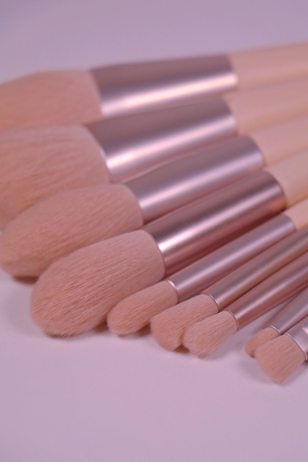 Ayuki’s Secret Professional Makeup Brush Set  * PINK LADY  * WITH Brush Roll