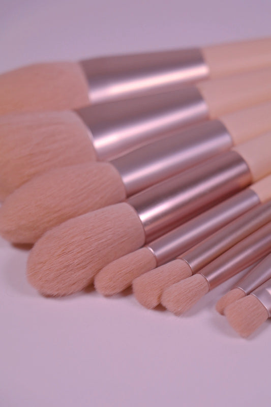 Ayuki’s Secret Professional Makeup Brush Set * PINK LADY * WITH Brush Roll